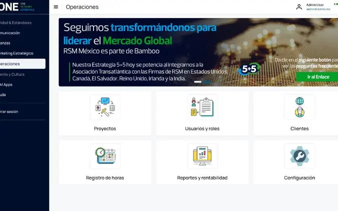 Sitio web de RSM